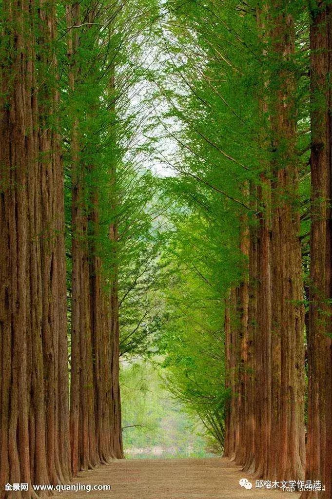 韩国游记完整版视频,韩国游记小说