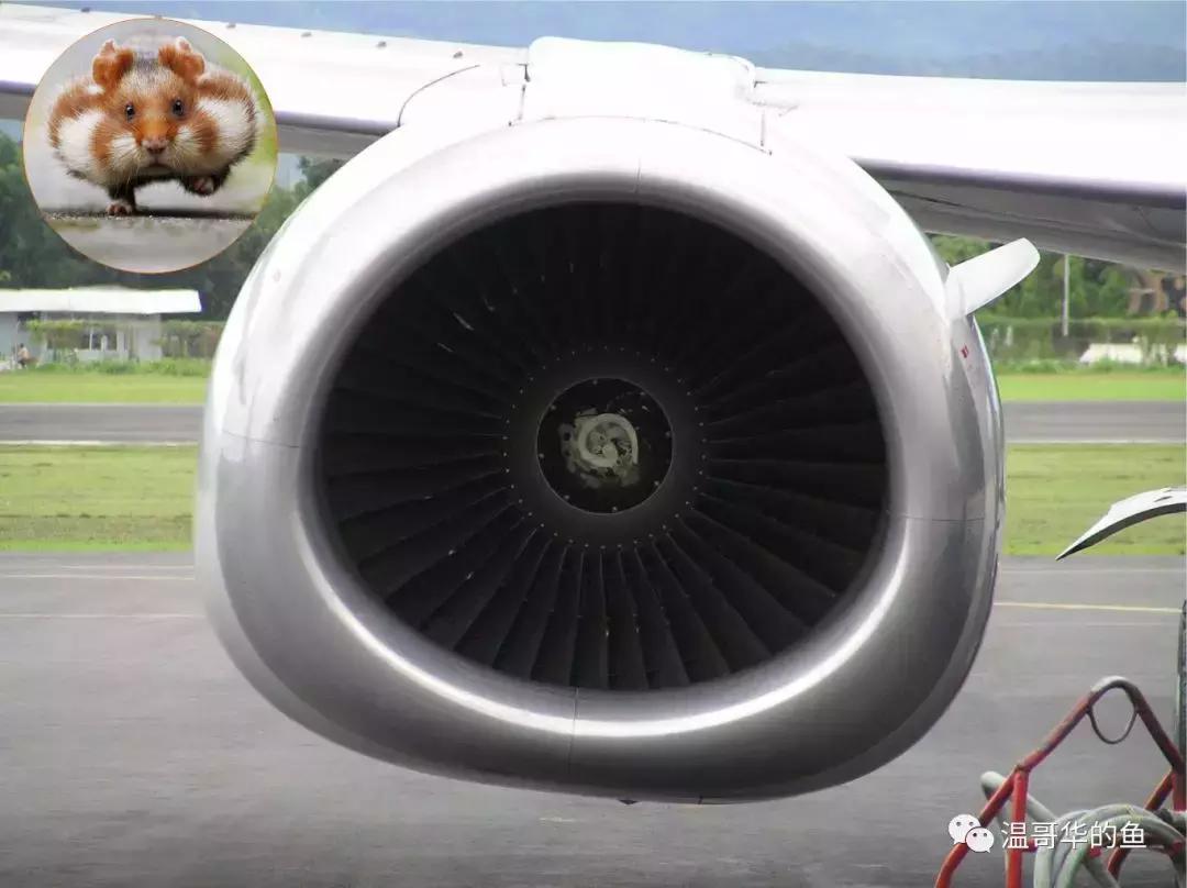 波音747的前世今生,波音747大型客机前世今生