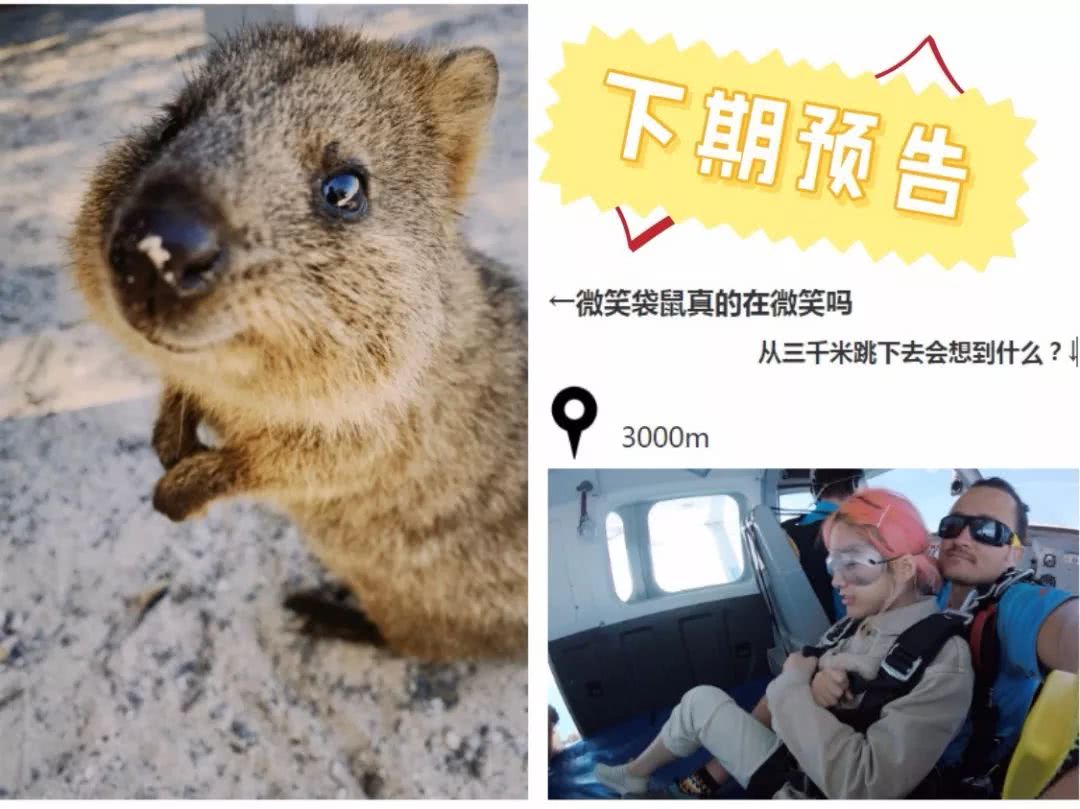 这地方是男人天堂,我们的大宝马也怕了