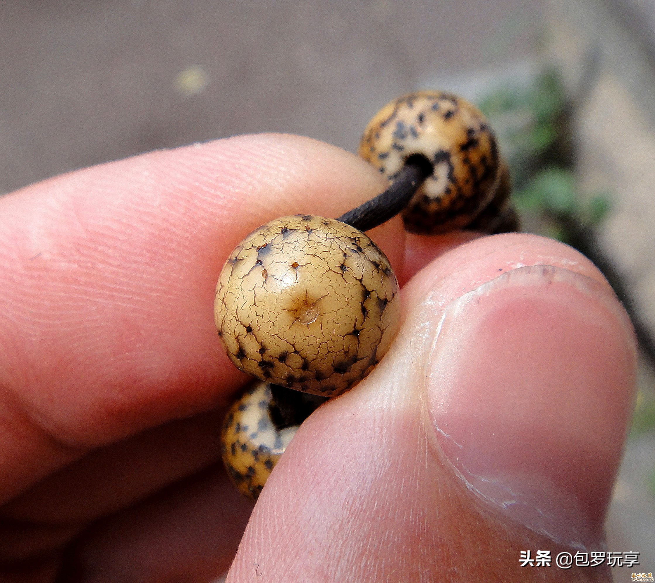 星月需要打乱吗,星月急救