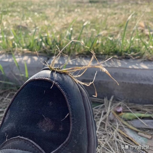 那些刻苦训练的日子英文,那些驻训的日子