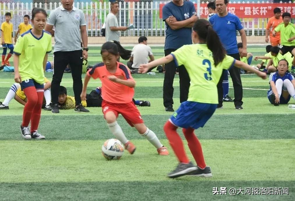 孟津县教育培训机构,孟津教育官网