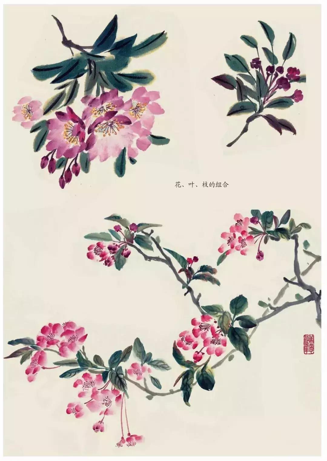 国画团扇花卉画法,国画中常见花卉的画法