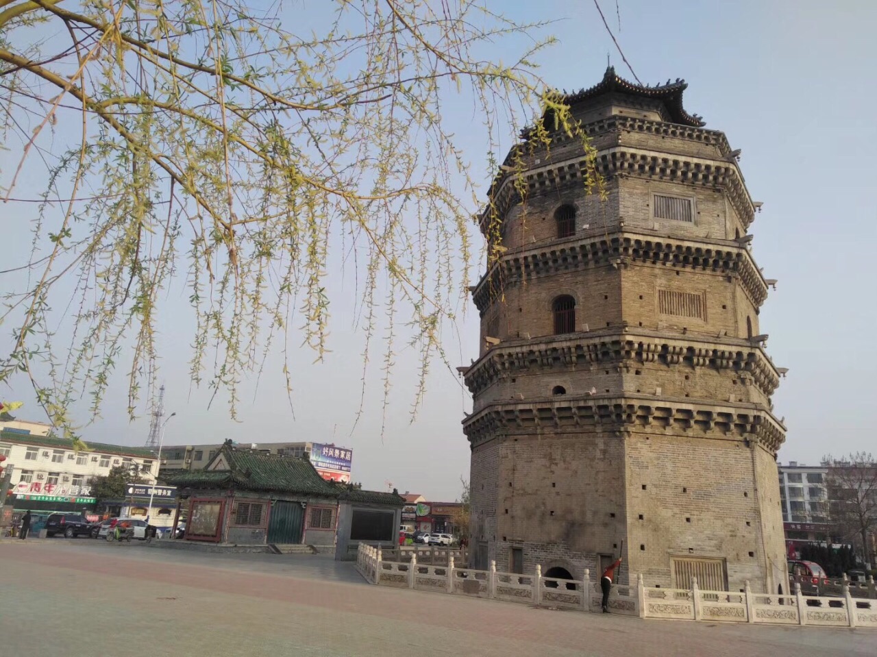 奇怪的古塔燕子----“严冬不南迁，有足不成行”