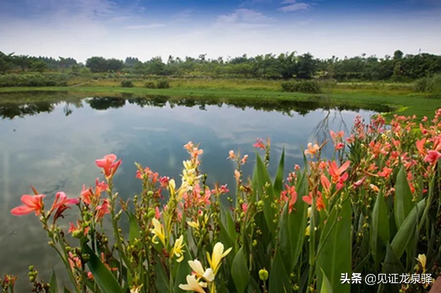 回眸十三五巨变,回眸十三五成果