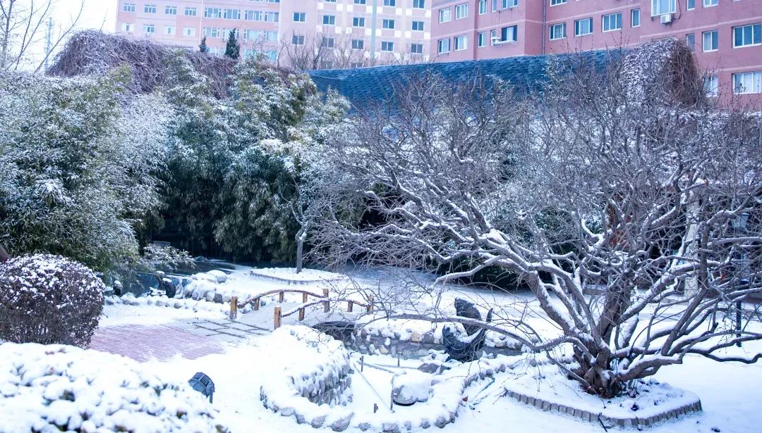 民办学校大连艺术学院全国排名,大连艺术学院辽宁排名