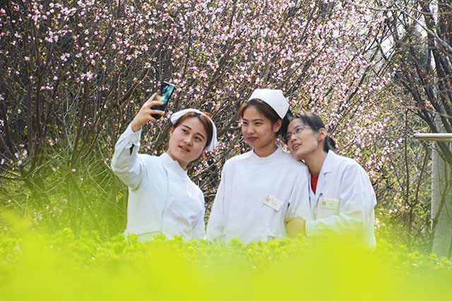 安国医院：寻常好景时时有，人间最美三月天。