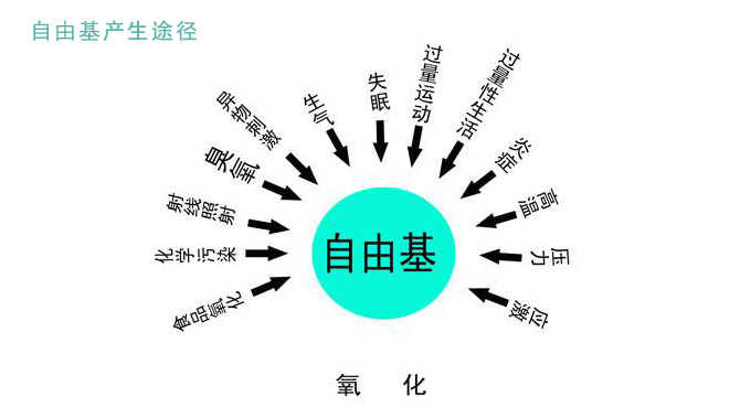 专攻持久战，干皮美白第3步：根源养白，提高肌底修复能力
