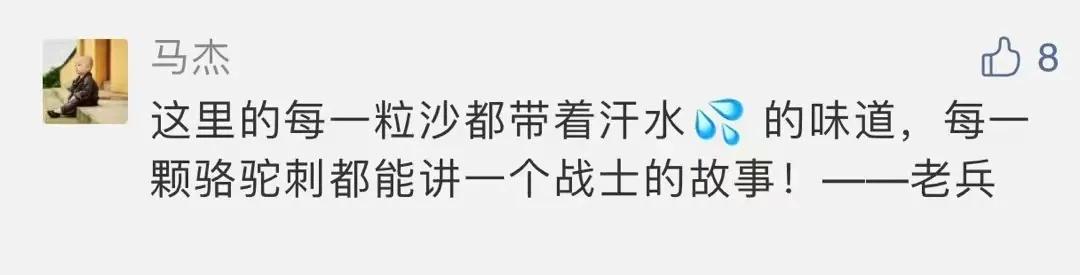 青铜峡中国军人,青铜峡黄河大峡谷军人免费吗