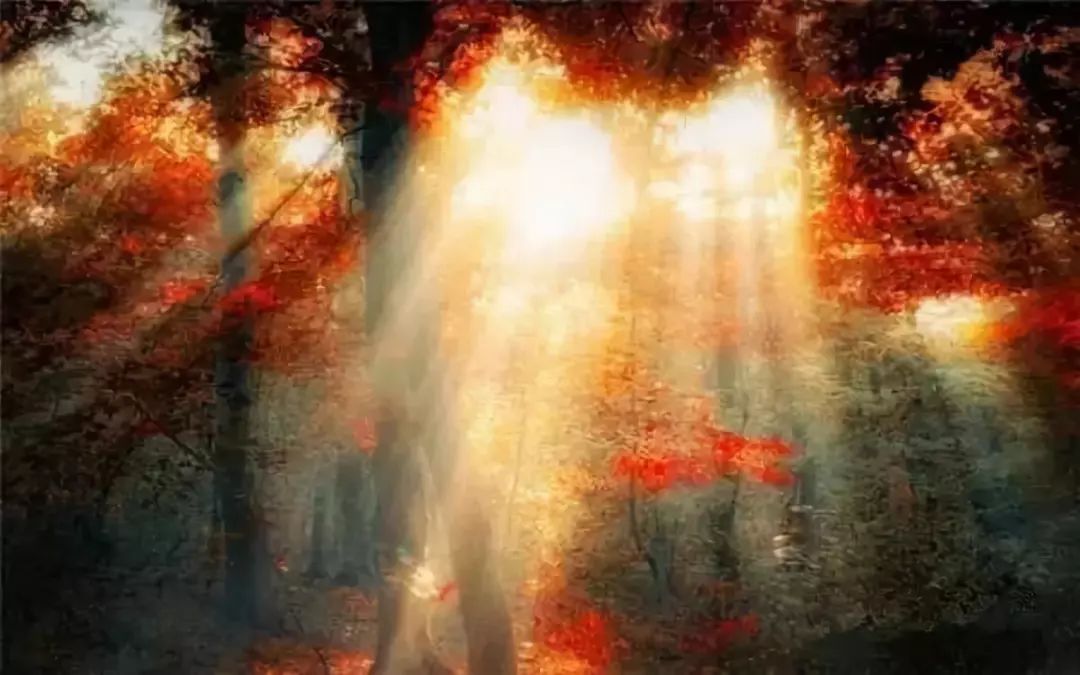 湖北深秋自驾游景点推荐,秋色彩林川西自驾