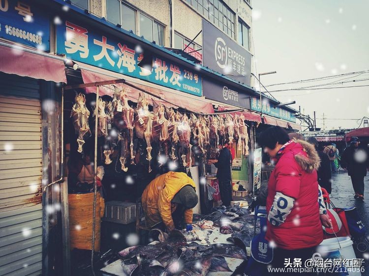 烟台莱阳海鲜早市,烟台老红利市场早市