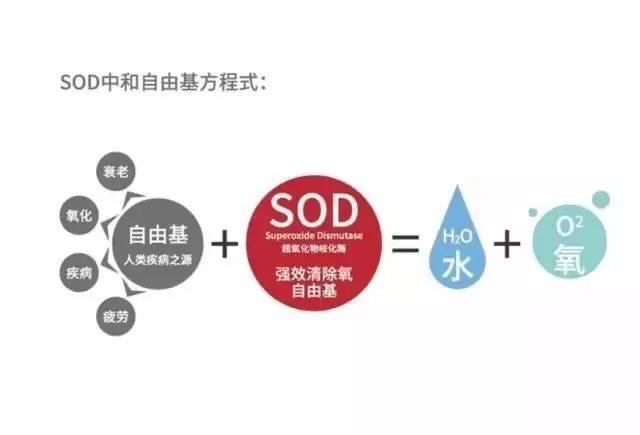 大宝sod蜜抗氧化右上角图案有几种,大宝sod蜜抗氧化过期了可以用吗