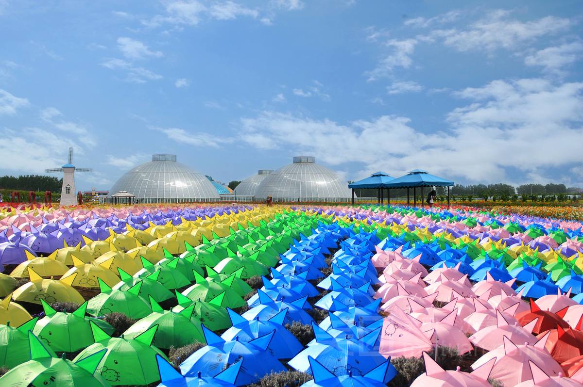 粽情一夏活动,粽情一夏