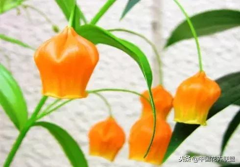 100种鲜花的花语樱花,100种不同花的花语