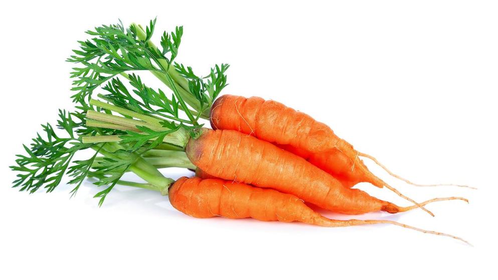 西餐哪些食物营养,西餐有些什么食物