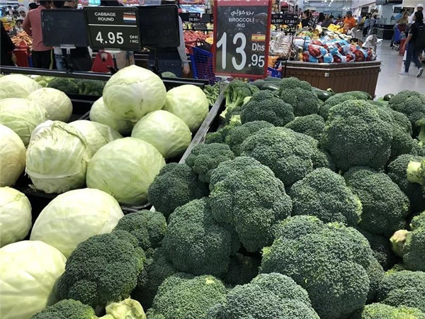 在迪拜生活到底贵不贵,迪拜打车贵不贵