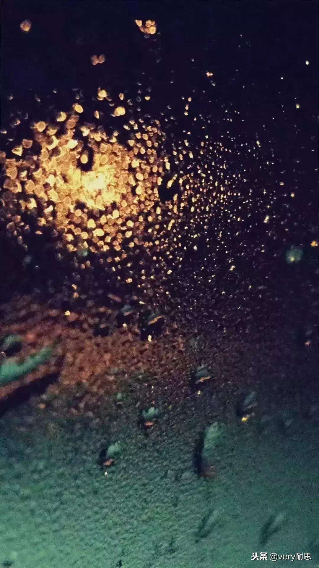 手机进水屏幕壁纸,壁纸进水了怎么恢复