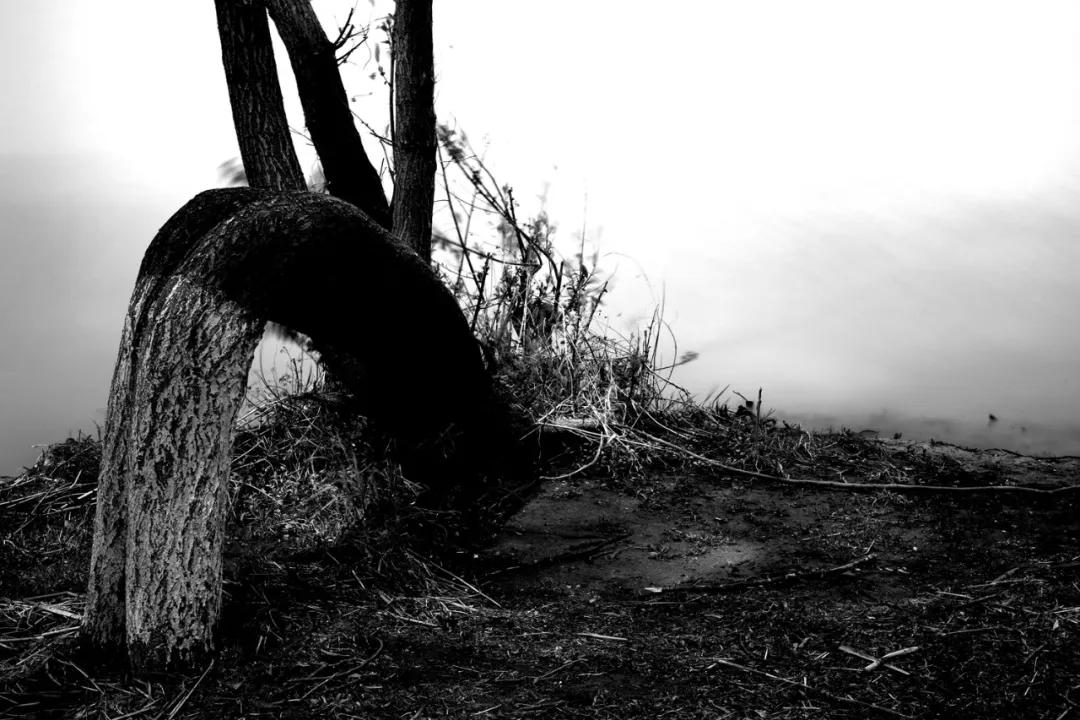 津门网金熙男:宁静的太子河