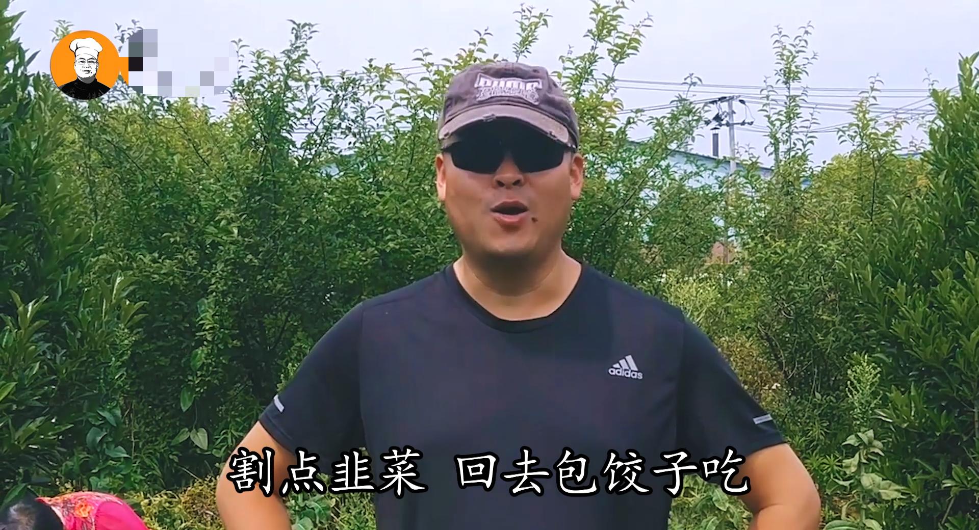 韭菜鸡蛋馅饺子怎么调馅不会出水,韭菜饺子怎么调馅儿好吃