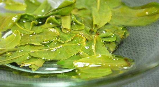 中国十大名茶绿茶六安瓜片雀舌茶,中国好茶排行榜前十名六安瓜片