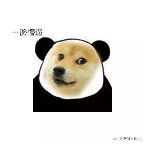 告诉你一个冰冷而残酷的真相,今天我要告诉你一件事