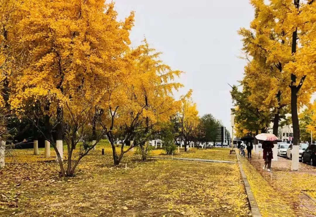 北京工业大学的毕业生最后都去哪儿了？86%留北京，年薪9.9万