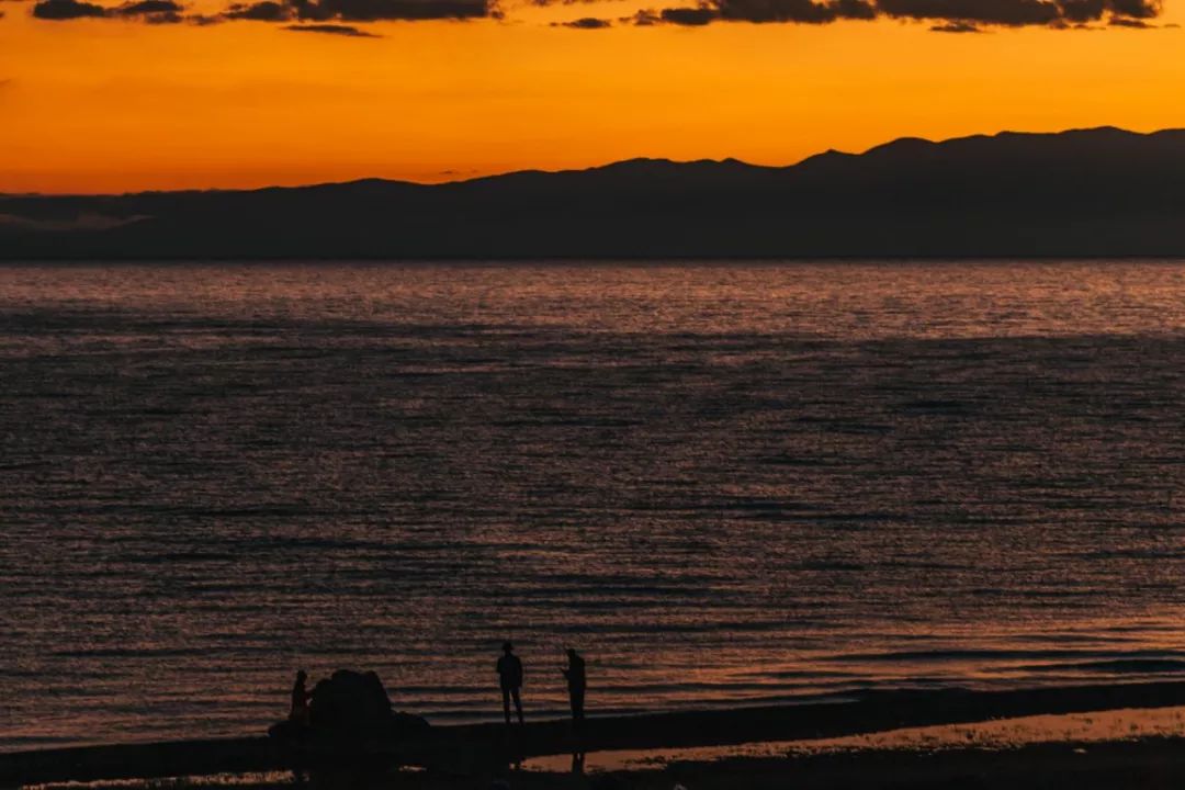 只要你面朝青海湖，八月依旧春暖花开