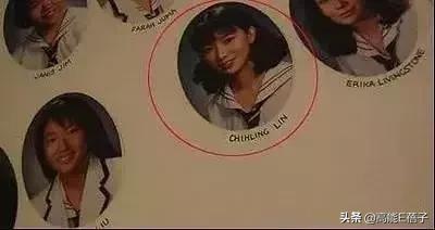 逐梦学术圈教学,逐梦学术圈的lady