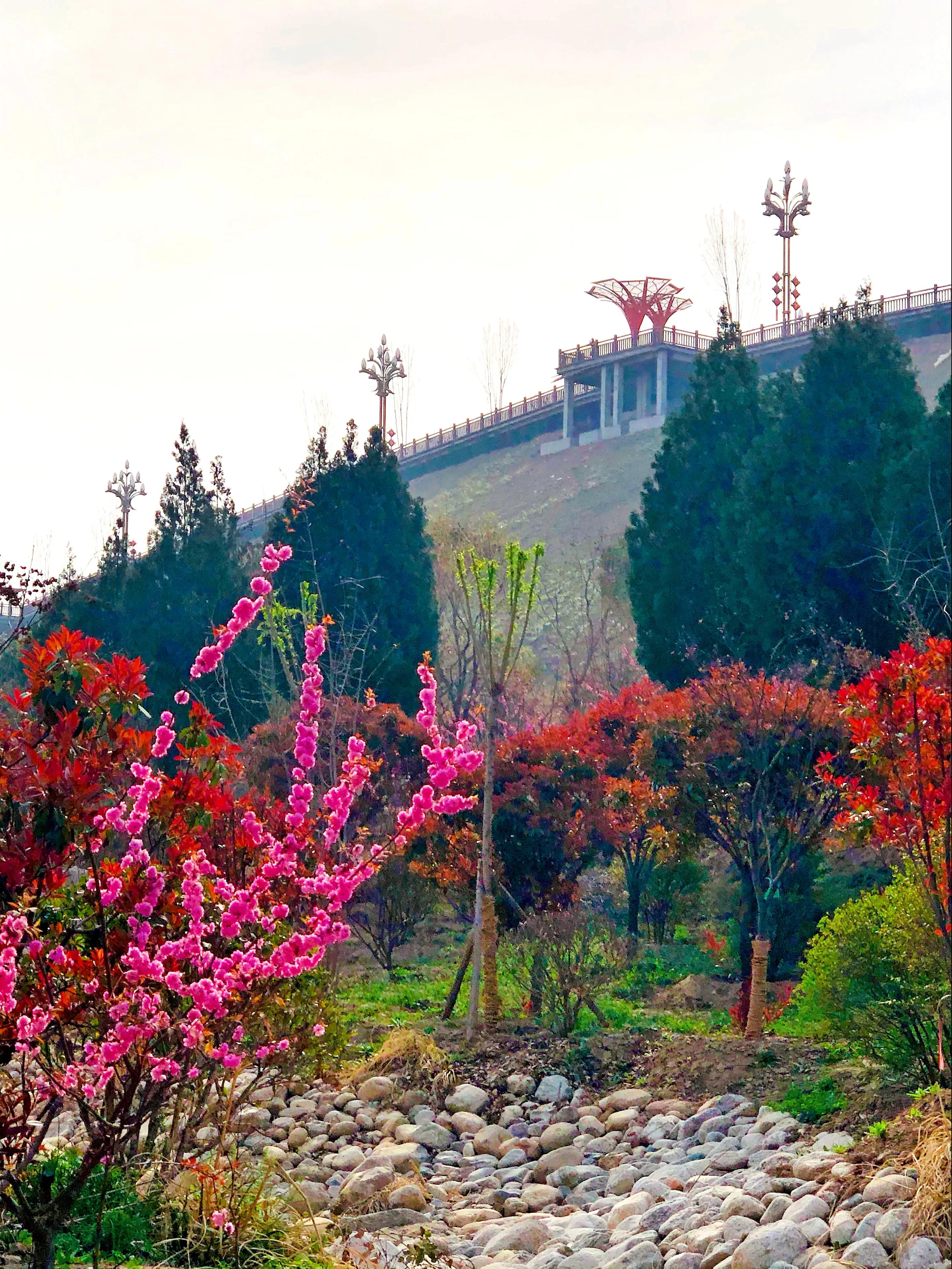 金塘半日游,白鹿原一日游攻略