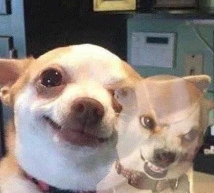 网红开奈雪的茶,西安skp奈雪的茶