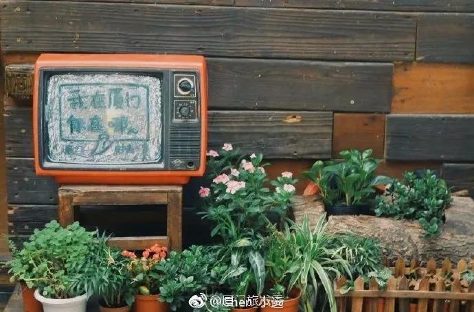 正宗厦门美食你吃过几道,厦门必吃的美食推荐