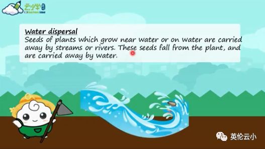 植物传播种子的方法有哪些二年级,我知道植物传播种子的方式有哪些