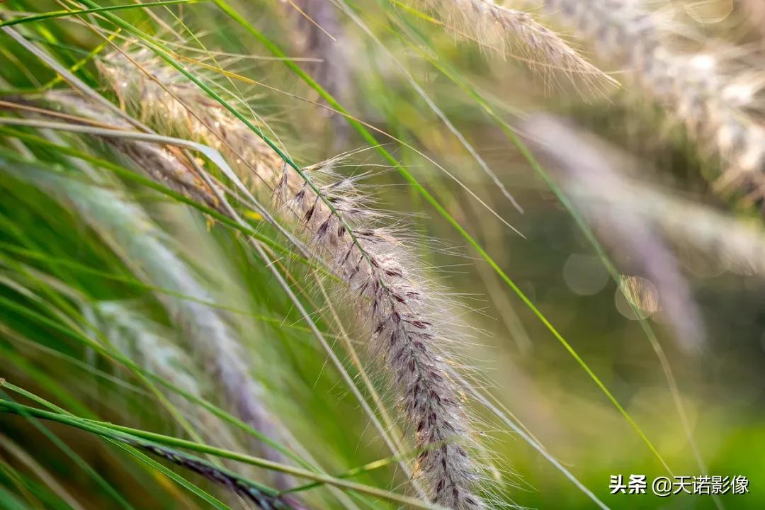 徕卡sl90-280拍人像,徕卡sl24-90镜头与24-70镜头比较