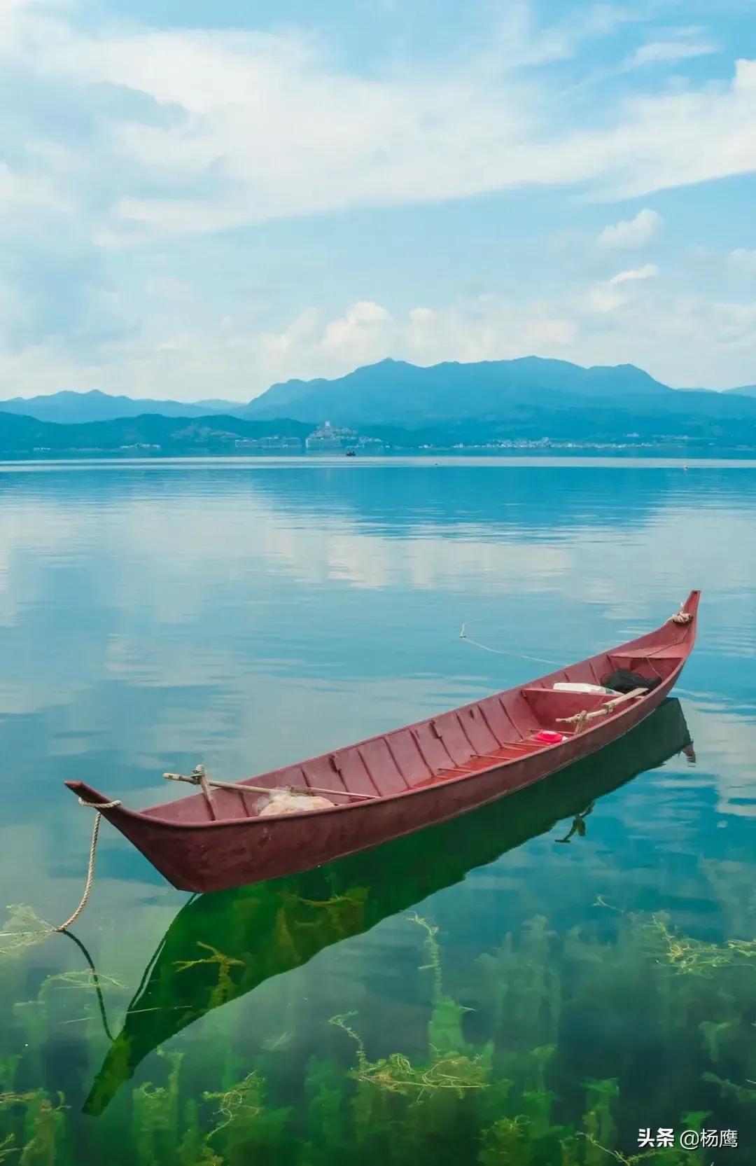 我决定我不再庸人自扰了经典语录,我决定不再前行的歌词