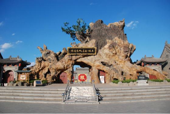 洪洞大槐树直播现场,洪洞大槐树酒