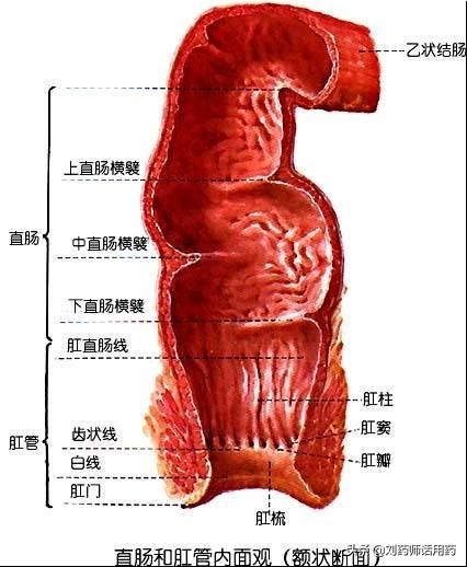 感冒直肠给药有危害吗,直肠给药的副作用