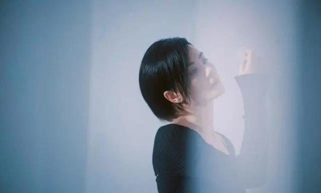 王菲谢霆锋近况最新消息合影,王菲谢霆锋或将同框哪里看