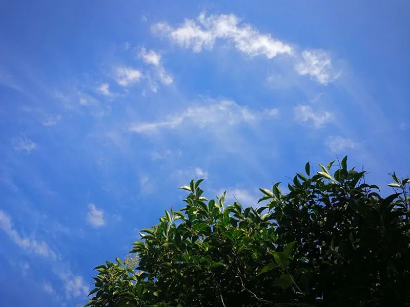 蔚蓝的天空借景抒情,蔚蓝的天空的优美比喻句子