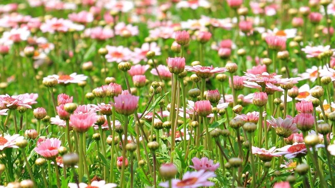 珏山景区旅游攻略,晋城珏山旅游景点大全