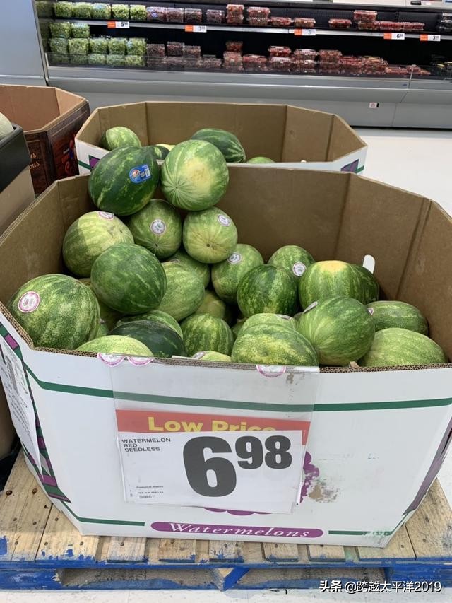 加拿大多伦多costco购物必买 (加拿大必买超市)