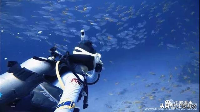 想考潜水教练应该怎么规划,考潜水教练需要多少天