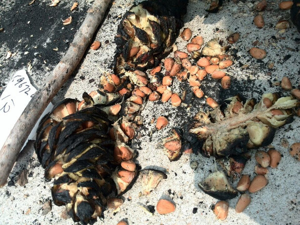 采访18岁的人,80后到00后的童年经历简介