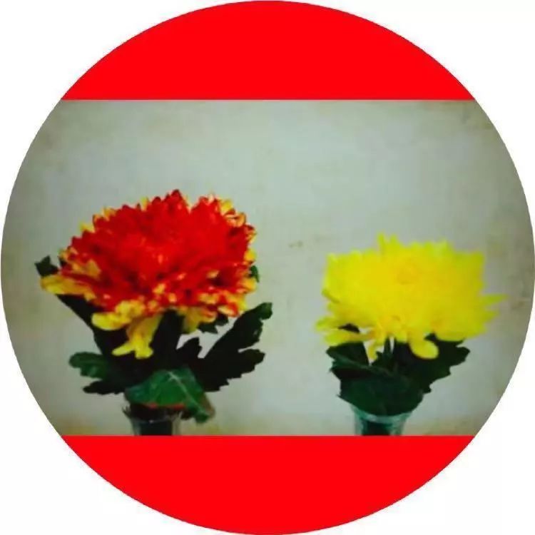 神秘嘉宾快问快答,神秘嘉宾采访