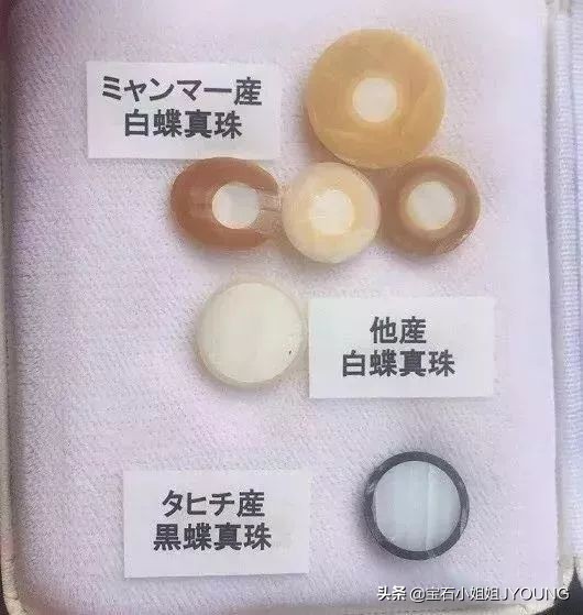 南洋珍珠金珠,妖紫珍珠和南洋金珠哪个好