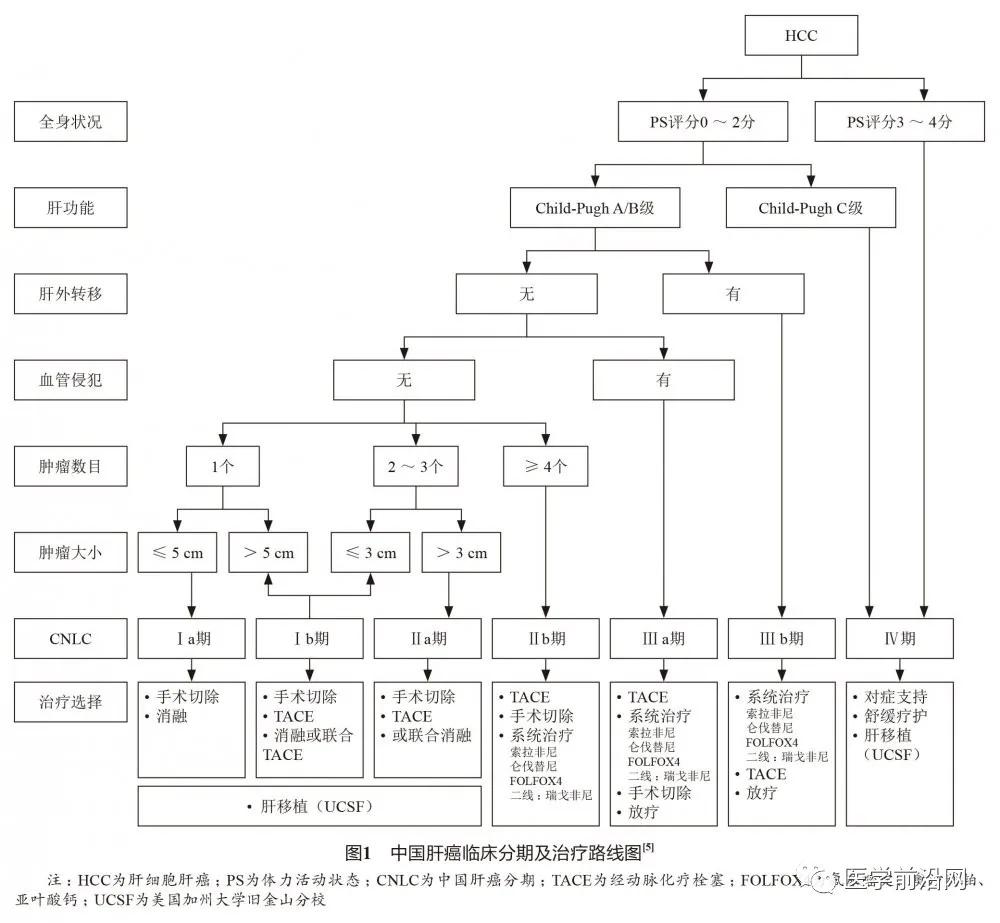 2050年中国肝癌诊疗专家共识,肝癌合并门静脉癌栓诊治专家共识