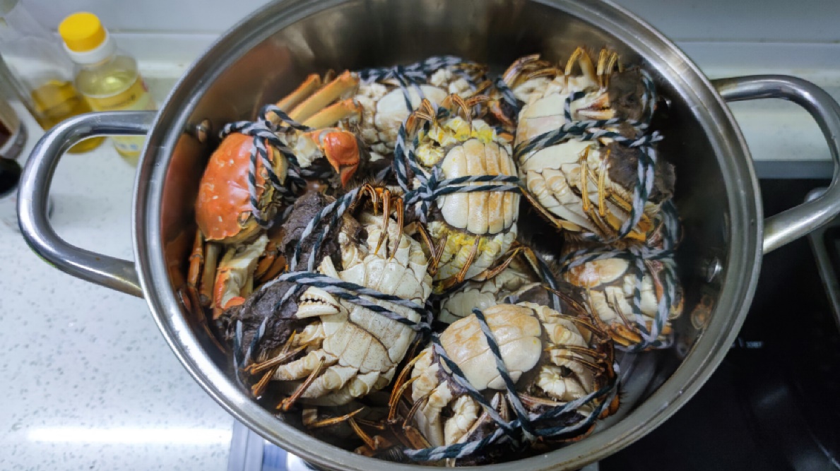 五粮春跟五粮液哪个好,五粮春和五粮液喝起来有什么区别