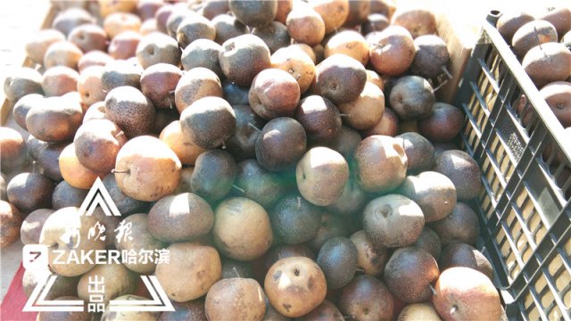 老北京冻梨冻柿子,冻梨冻柿子介绍