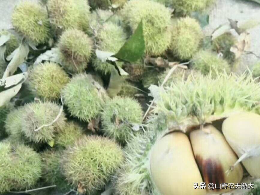 刚开始卖东西没有生意怎么办,刚开始卖不出去货