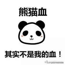 科学家发现熊猫曾经是什么,专家科普熊猫