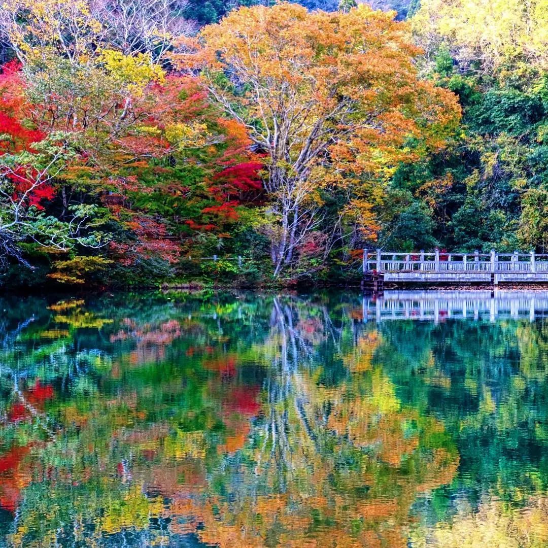 做个‘追枫少女’领略红叶之美！